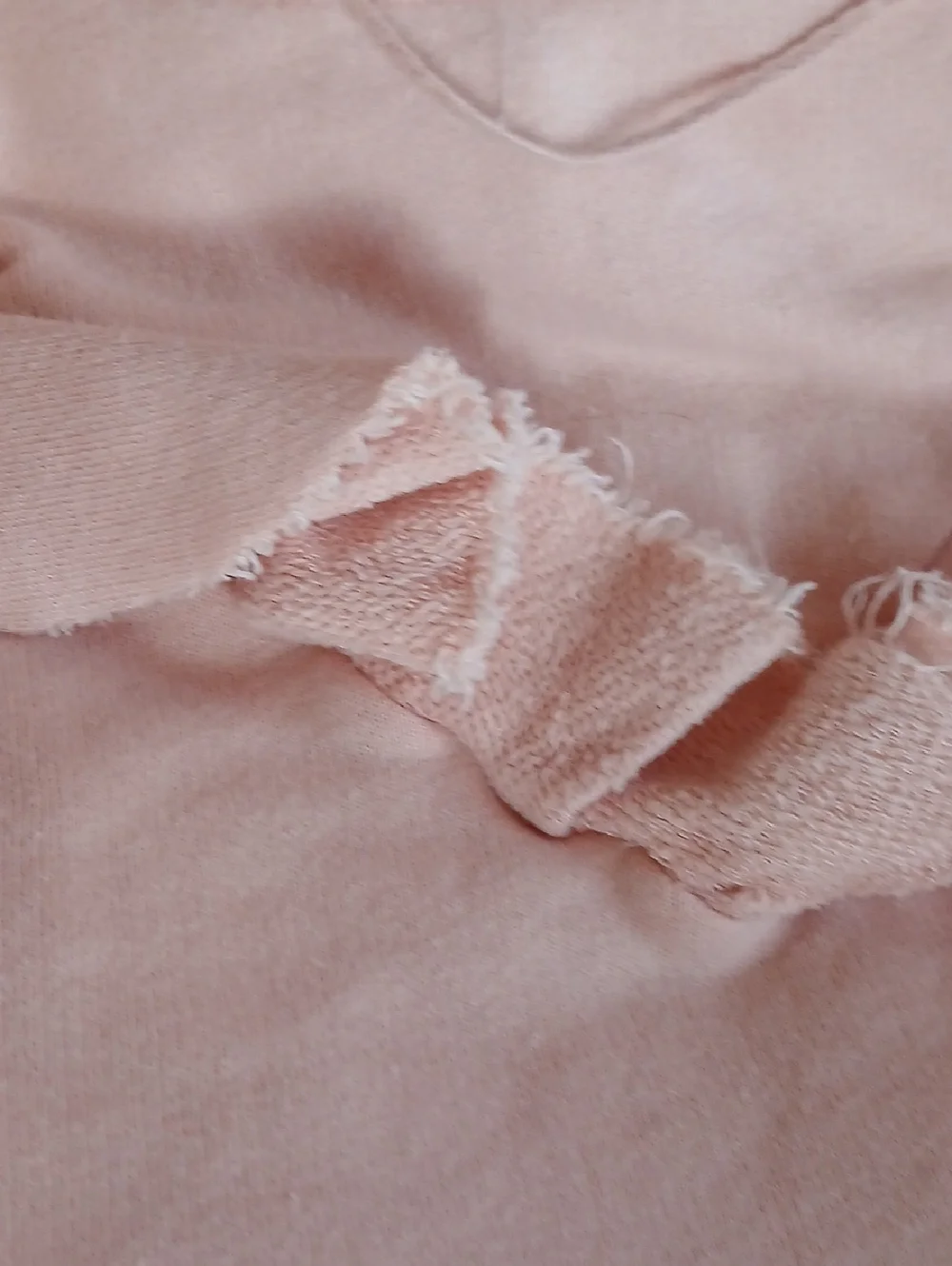 Free People Ruffled Crop Sweatshirt